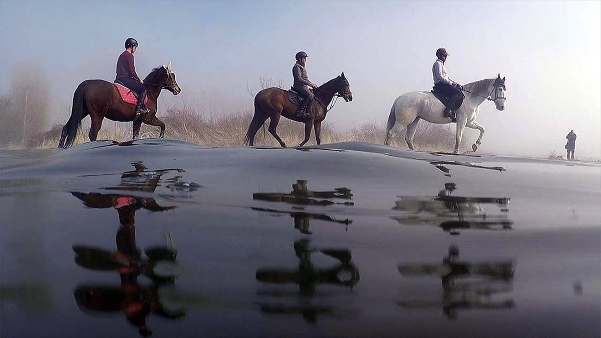 Uluabat Gölü’nde dizlerine kadar suya giren atların sırtında ‘safari’ keyfi