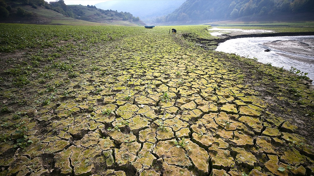 Her yıl çölleşme ve kuraklık nedeniyle 12 milyon hektar arazi kaybediliyor,