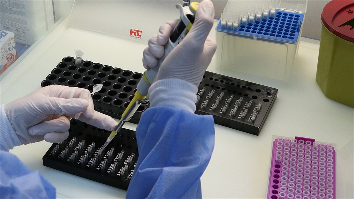 Koronavirüs varyantları güncel PCR testlerinden kaçamıyor