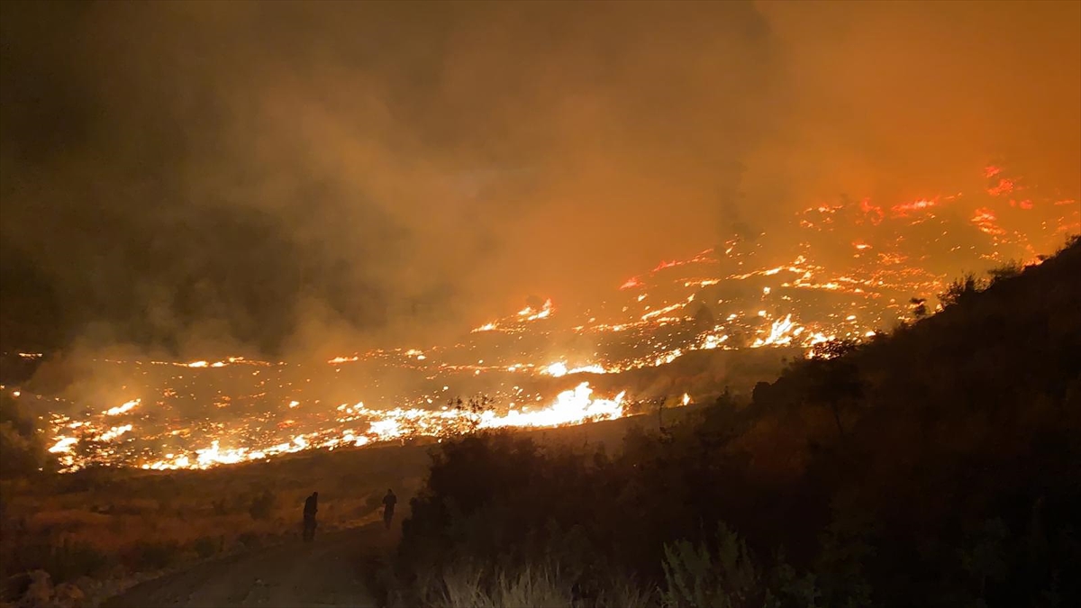 Muğla’da çıkan orman yangınına müdahale ediliyor