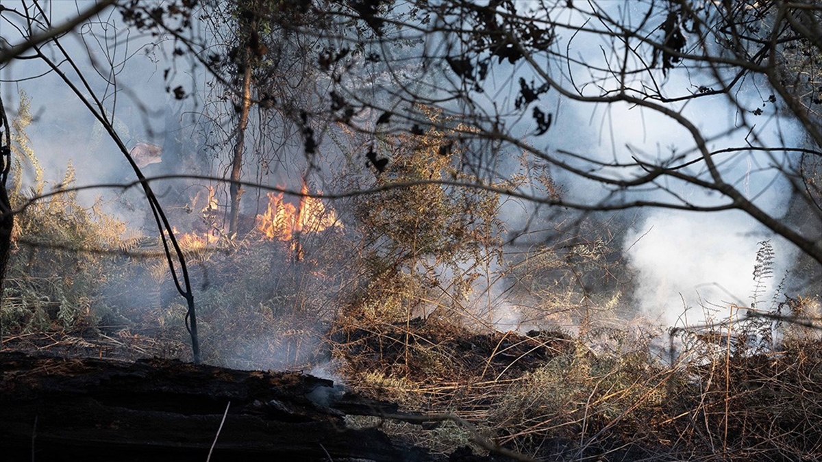 Fransa’nın güneyindeki yangın 700 hektar alanı kül etti