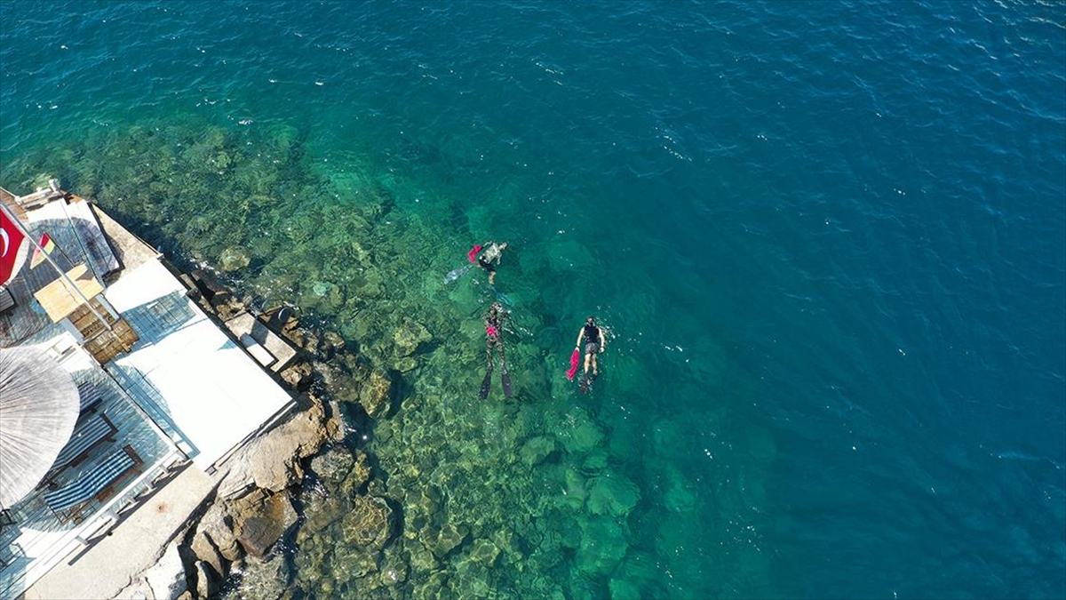 Bodrum’da dalgıçlar deniz dibinden 500 kilogram atık çıkardı