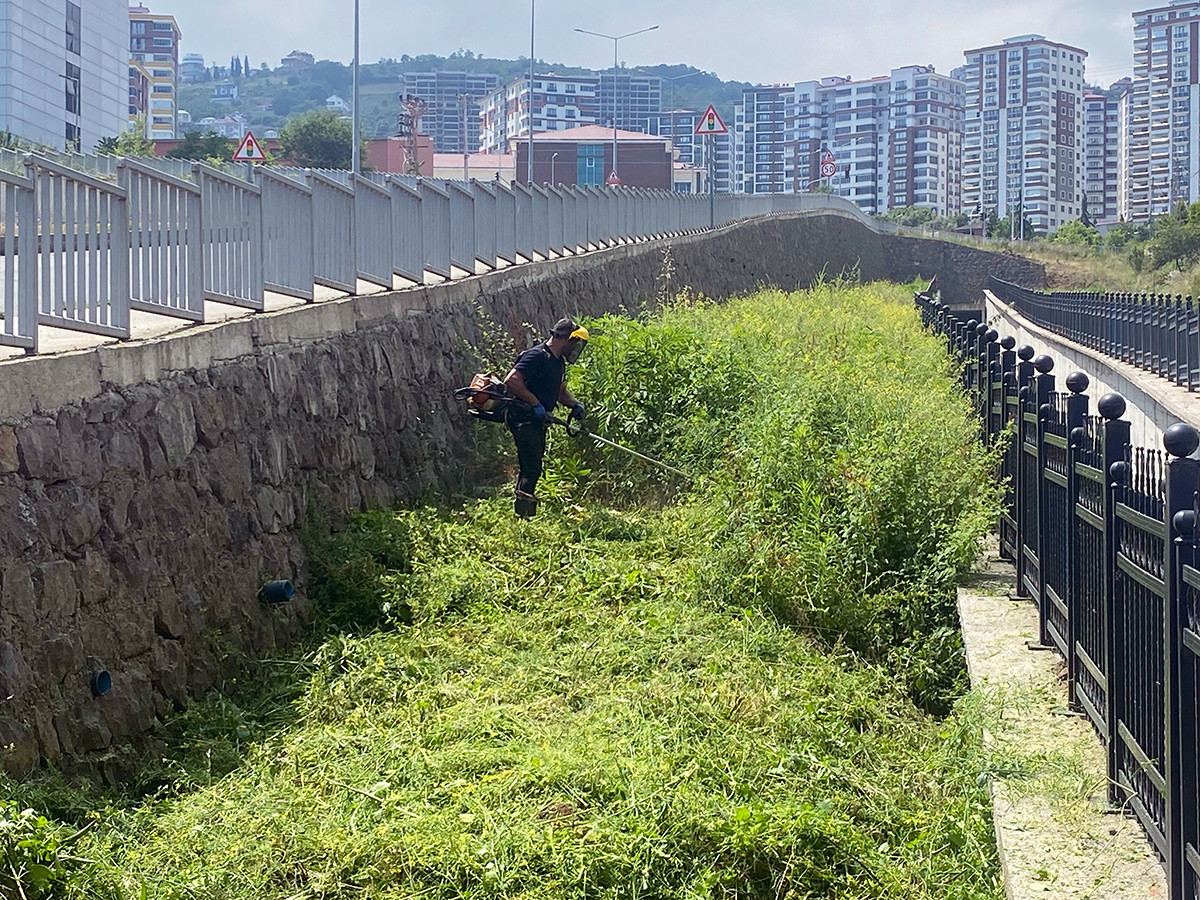Akçaabat Belediyesi’nden Yeşil Ve Renkli Dokunuşlar: Temizlik, Bakım Ve Çiçek Dikimi Sürüyor