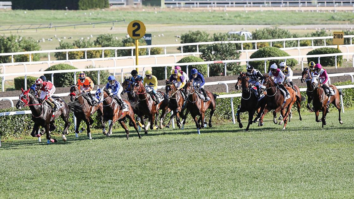 Türk at yarışçılığı derbi için geri sayıyor