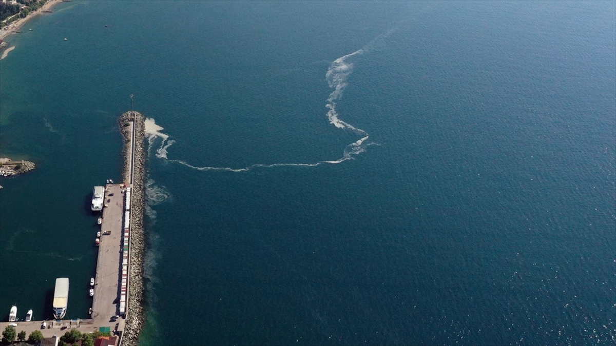 Marmara Denizi’nde toplanacak miktarda müsilaj olmadığı için dün de temizleme çalışması yapılmadı