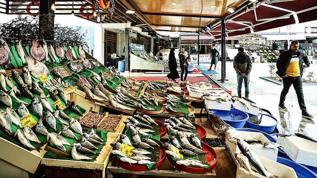 İstanbul’da av sezonunun bereketli başlaması balık fiyatlarına da yansıdı