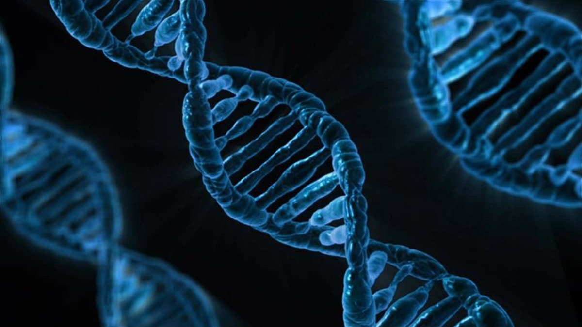 Google’ın yapay zeka şirketi DeepMind, DNA’da hastalığa yol açan genlerin bulunmasını hızlandırıyor