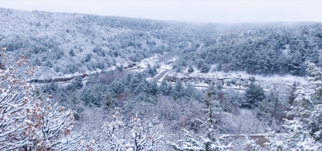 Çorum’un Dodurga ilçesinde sis etkili oldu