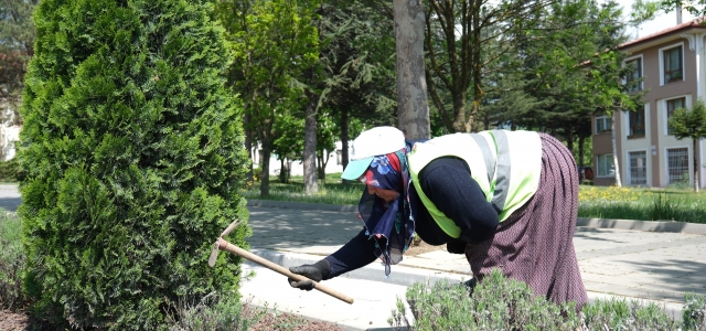 Bolu Belediyesi ekiplerinin zorlu mesaisi başladı