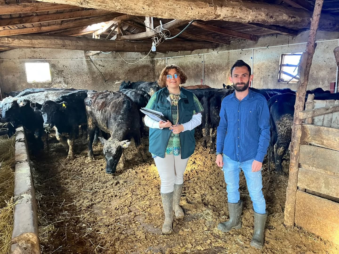 “Kırsalda Bereket Hayvancılığa Destek Projesi” kapsamında damızlık hayvanların ilk partisi teslim edildi