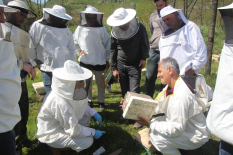 Ordu’da Ana Arı Yetiştiriciliği Eğitimi Gerçekleştirildi