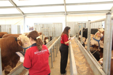 İBB’nin 4 Modern Tesisi Kurban Bayramı İçin Hazır